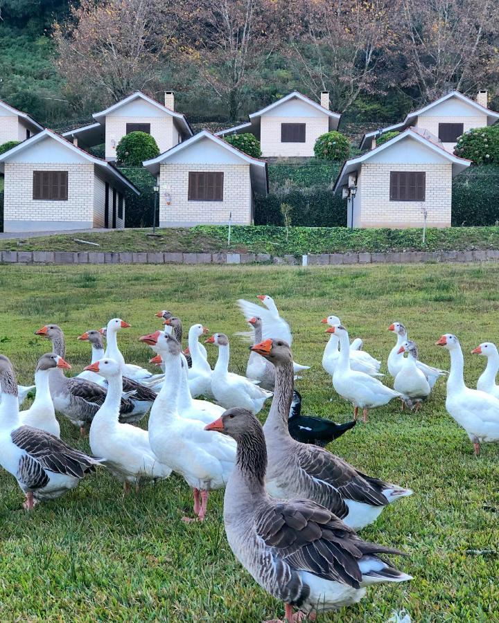 פלורס דה קוניה Pousada Parque Das Pitangueiras מראה חיצוני תמונה