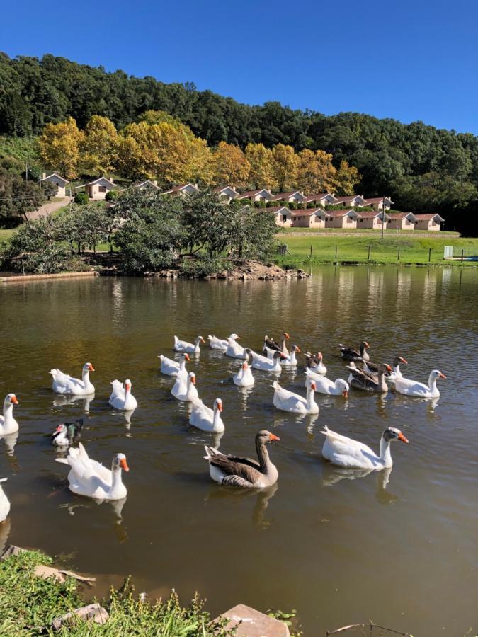 פלורס דה קוניה Pousada Parque Das Pitangueiras מראה חיצוני תמונה